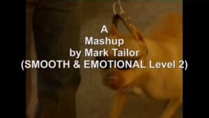 Read more about the article Video-Mashup by Mark Tailor (SMOOTH & EMOTIONAL Level 2)