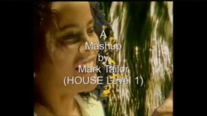 Read more about the article Video Mashup by Mark Tailor (HOUSE Level 1)