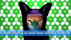 Read more about the article Video-Mashup by Mark Tailor (DANCE Level 9)